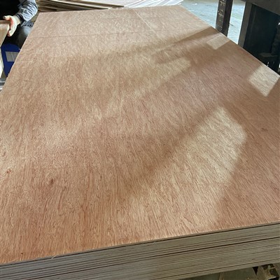 Vysoce kvalitní komerční překližka Bintangor Ooume Birch Pine Faced Plywood